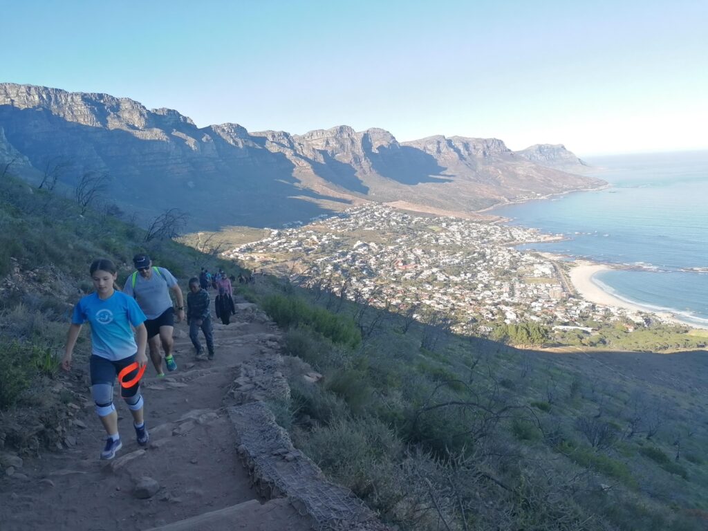 lions head 3