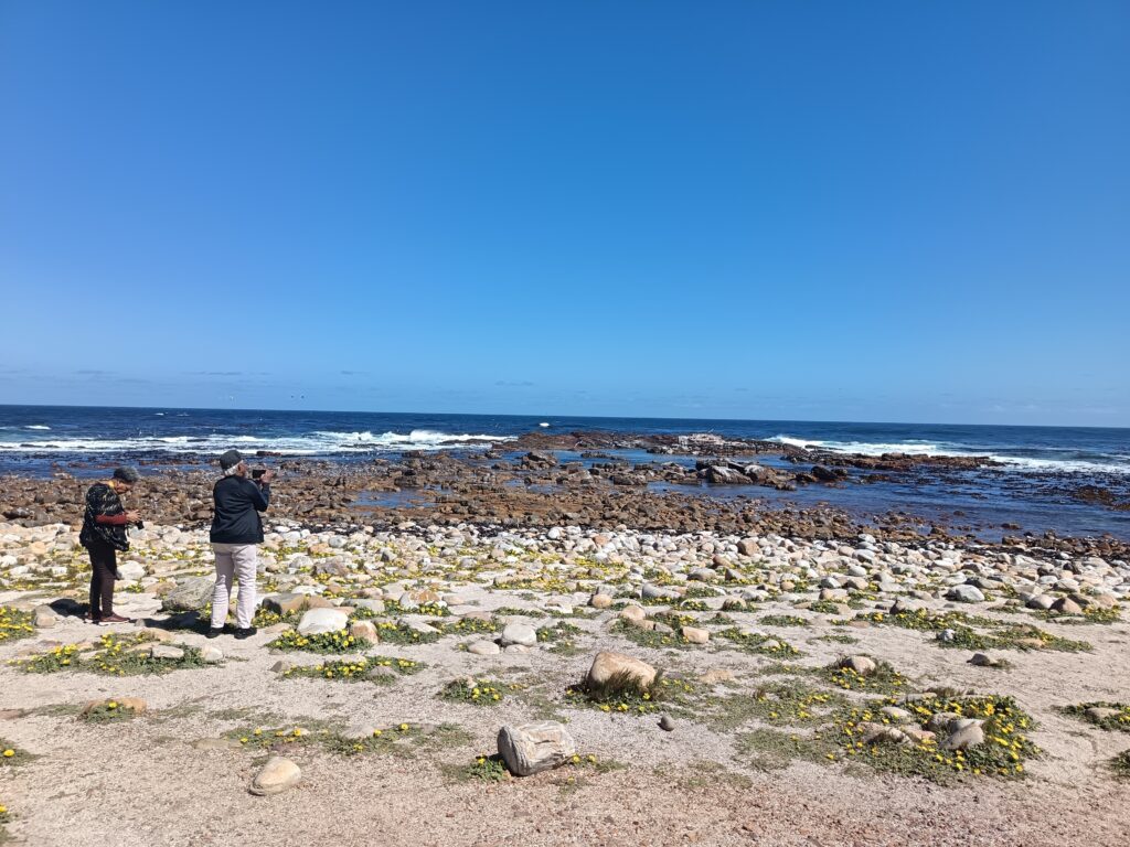 Alternative history of cape point 6