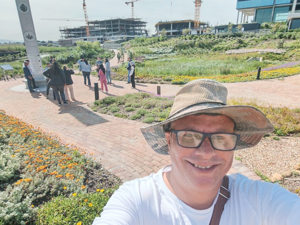 Alternative history of cape point 4