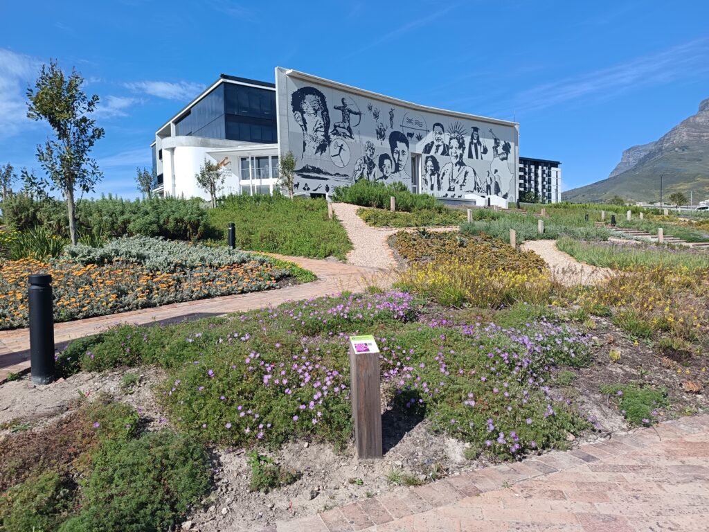 Alternative history of cape point 3