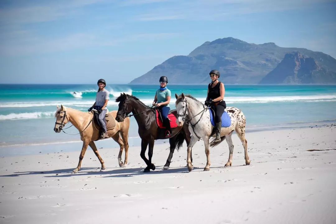 Cape Town hike with mountain view