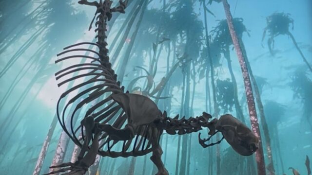 1092bf2e-6fab-46e0-bee2-80579851b51e