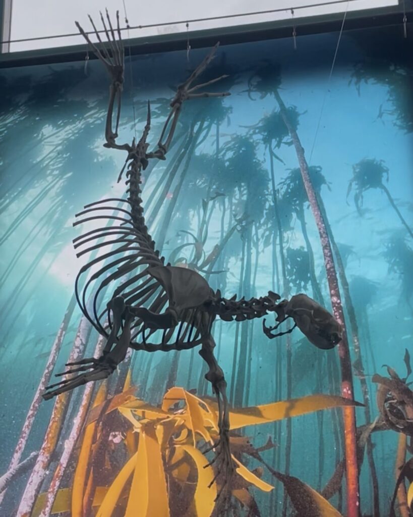 1092bf2e-6fab-46e0-bee2-80579851b51e