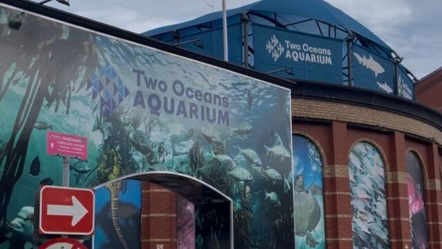 1b0a716a-1d4a-4506-aa1a-6184998c6e34