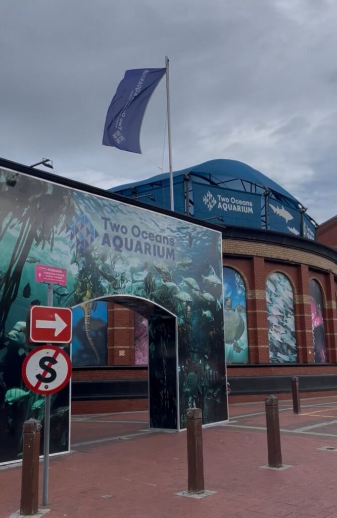 1b0a716a-1d4a-4506-aa1a-6184998c6e34