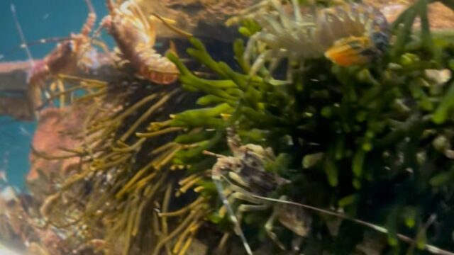 1eeac3ef-2451-4e0d-94f0-a070411ca9d0