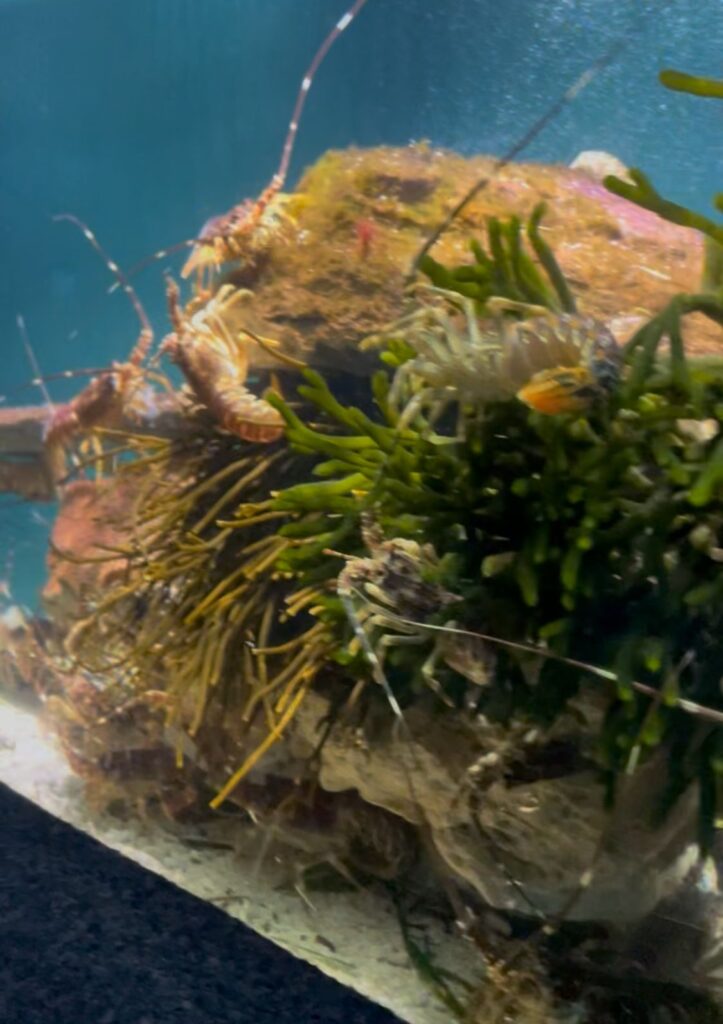 1eeac3ef-2451-4e0d-94f0-a070411ca9d0