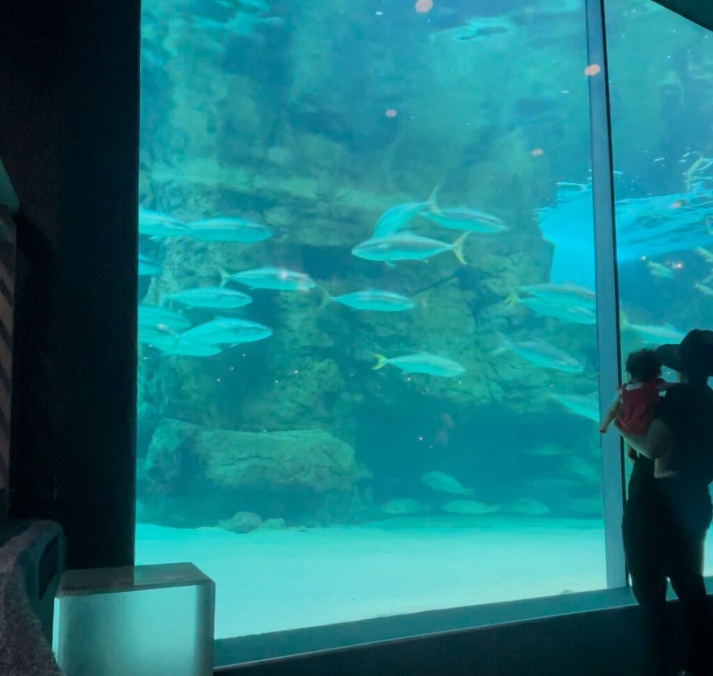 2a27a2eb-714a-4a91-805a-b5184dbd1460