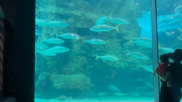 2a27a2eb-714a-4a91-805a-b5184dbd1460