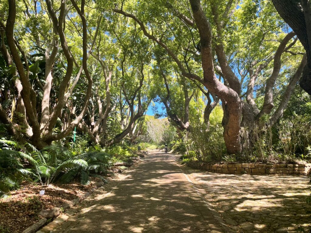 42335d8e-3b34-447c-98b2-6913b04af1b4