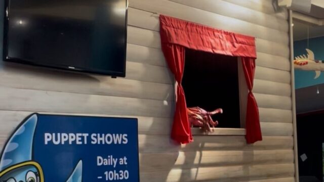 5877ff97-2cc0-4b4a-8c2f-4eb04eee84cc