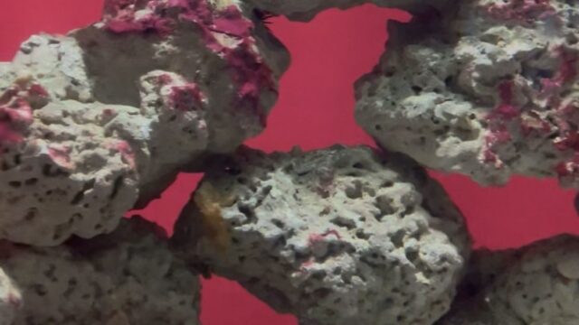 849db42a-9240-48e1-846a-4095e7c1435b