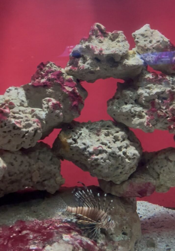 849db42a-9240-48e1-846a-4095e7c1435b