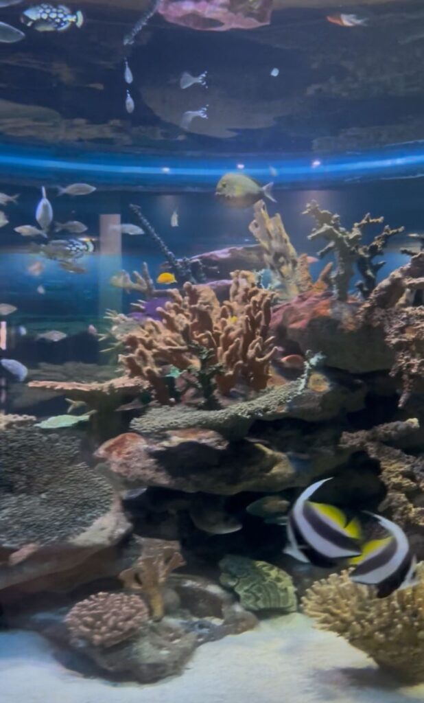 9c32c933-1548-4b6d-b9f0-a7d7a884e2da