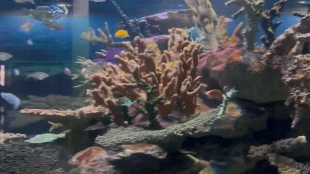 9c32c933-1548-4b6d-b9f0-a7d7a884e2da