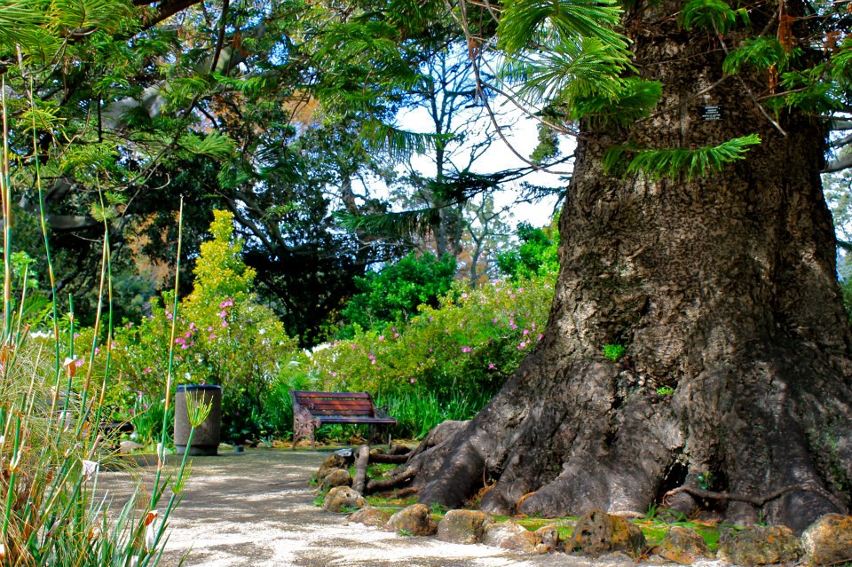 Cape Town hike with mountain view