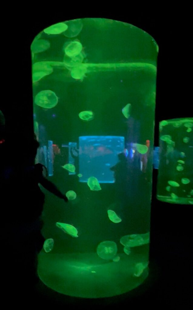 ca197621-3e5c-4bf4-a6d6-67b560d00a79