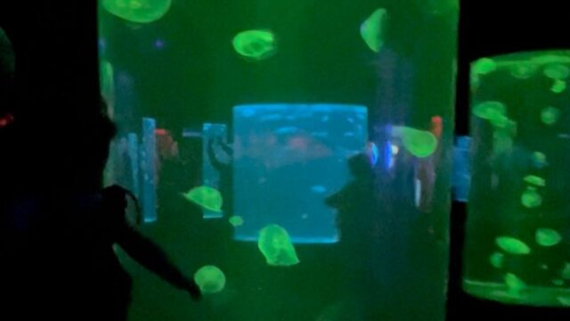 ca197621-3e5c-4bf4-a6d6-67b560d00a79