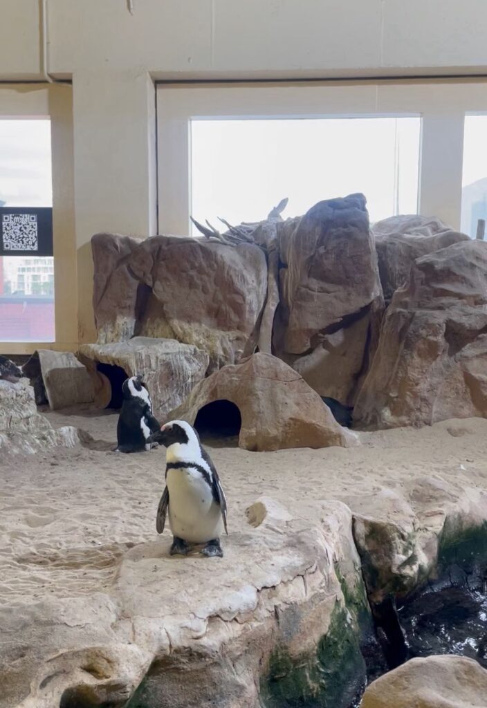 ef8d9731-8e32-4181-9aad-c2e0dd6c61b4